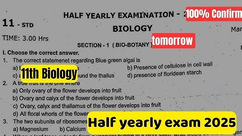 11th Biology question paper half yearly-2025 