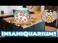 Clicking Intensifies! | Insaniquarium Deluxe