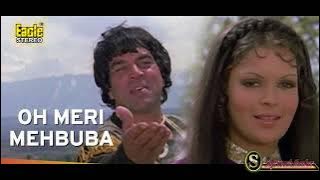 O Meri Mehbooba Tujhay Jana (EAGLE 2nd Jhankar)