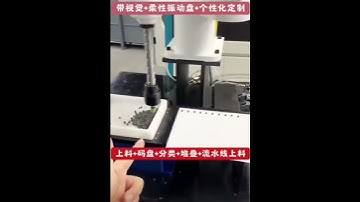 conveyor system for material handling- spider manipulator #handing #palletizingrobot #spider #visual