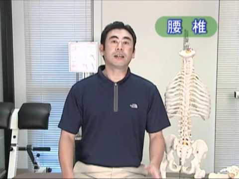 岡井 健D.C.のカイロプラクティックテクニック －腰椎、骨盤編－