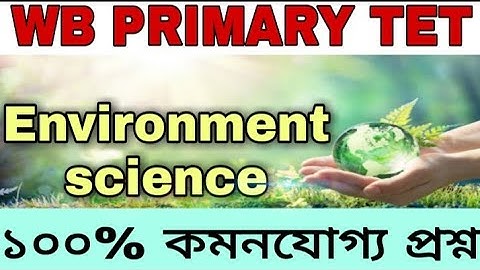 Primary Tet evs question/primary Tet evs classes/WB Primary Tet evs question answer/primary Tet evs