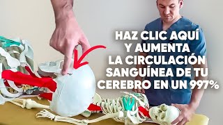 Este punto aumenta el flujo sanguíneo hacia el cerebro en un 997%.