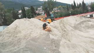 Köpeklerin Kardeşliği