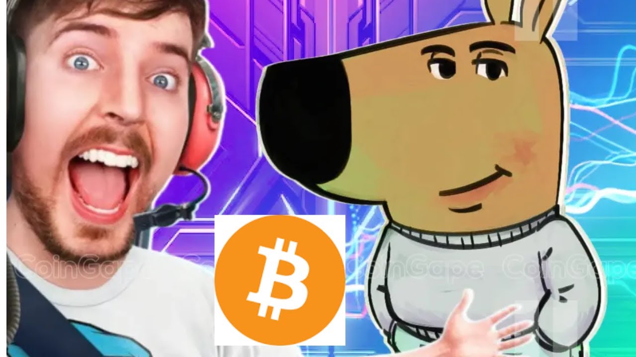 Mr. Beast Declares $ChillGuy King: Memecoins, Web3 Gaming, and More!