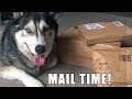 Opening Gifts From A Subscriber!