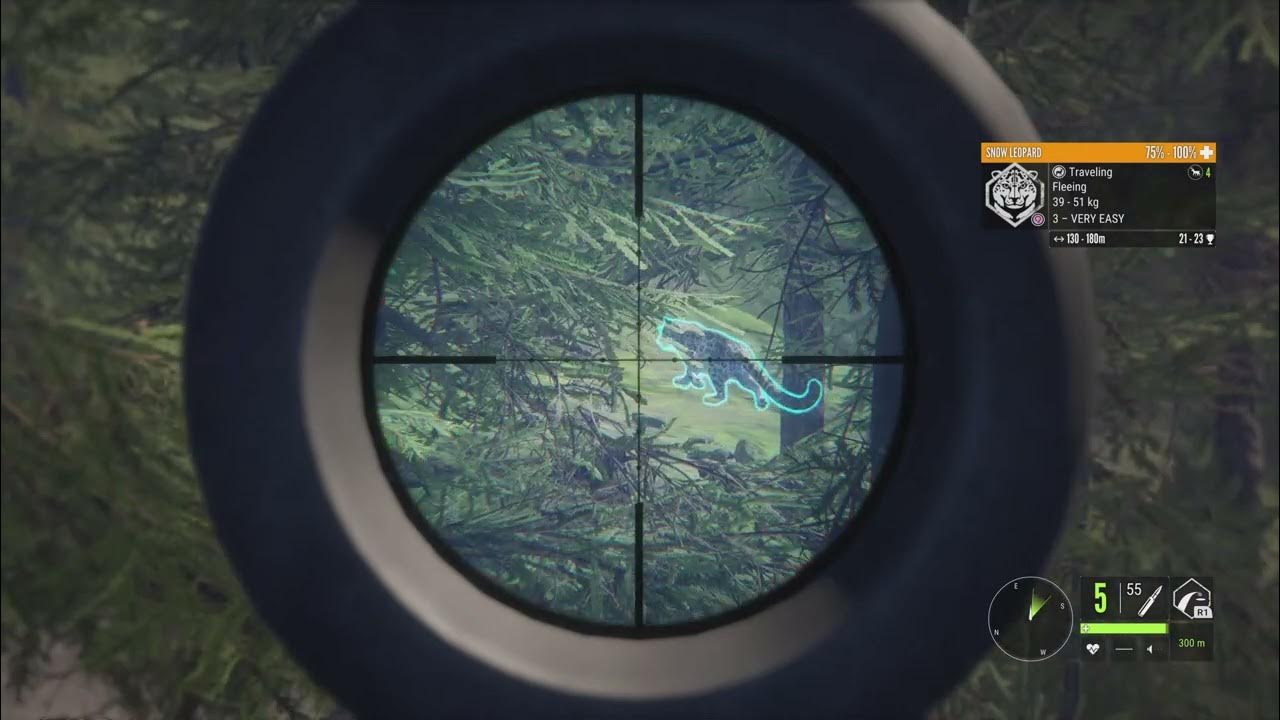 TH:COTW- Ifinally get a Snow Leopard!!!!!! - YouTube