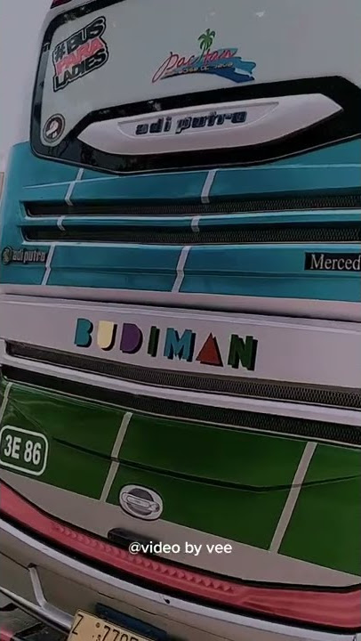story wa bus budiman buaya malam