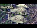 Ловля Весеннего Карася (Springtime for Crucian)