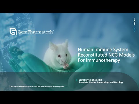 Human Immune System Reconstituted NCG Models For Immunotherapy