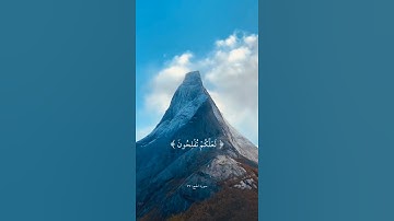 ارْكَعُوا وَاسْجُدُوا | سورة الحج | علي جابر