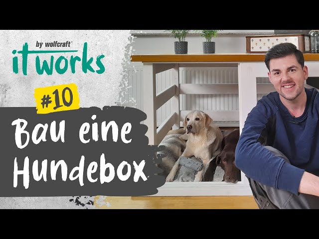 Hundebox bauen: Anleitung, Tipps und Tricks