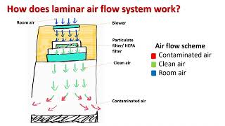 Laminar Air Flow  Principle, parts, types and uses