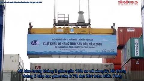 TĂNG TRƯỞNG 2 CON SỐ, XUẤT KHẨU THỦY SẢN NỬA ĐẦU NĂM ĐẠT GẦN 4 TỶ USD