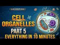Cell wall | Cell organelles | class 9th | biology | part 5 | Full explanation 