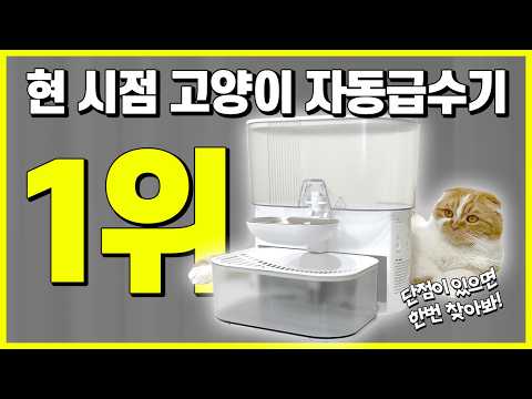 고양이 음수량 늘리고, 깨끗한 물을 주고 싶은 분들 주목!!! / 저희 연구소 고양이 자동 용품에 진심입니다