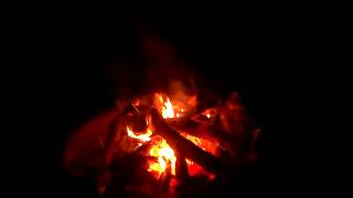 Skunk Ape Camp in Green Swamp