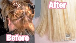 BBlonde Bleach | Bleaching Hair Blonde