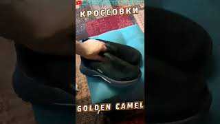 КРОССОВКИ CAMEL