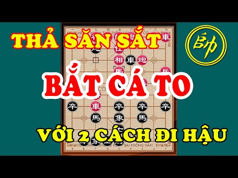Video Cờ Tướng Học 2 Cách Đi Hậu THẢ CON SĂN SẮT BẮT CON CÁ... - youtube