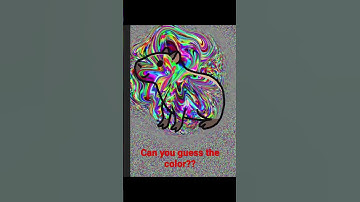 Capybara Can you guess the color? 😉😉😉#guessthecolor #weekend #memes #capybara