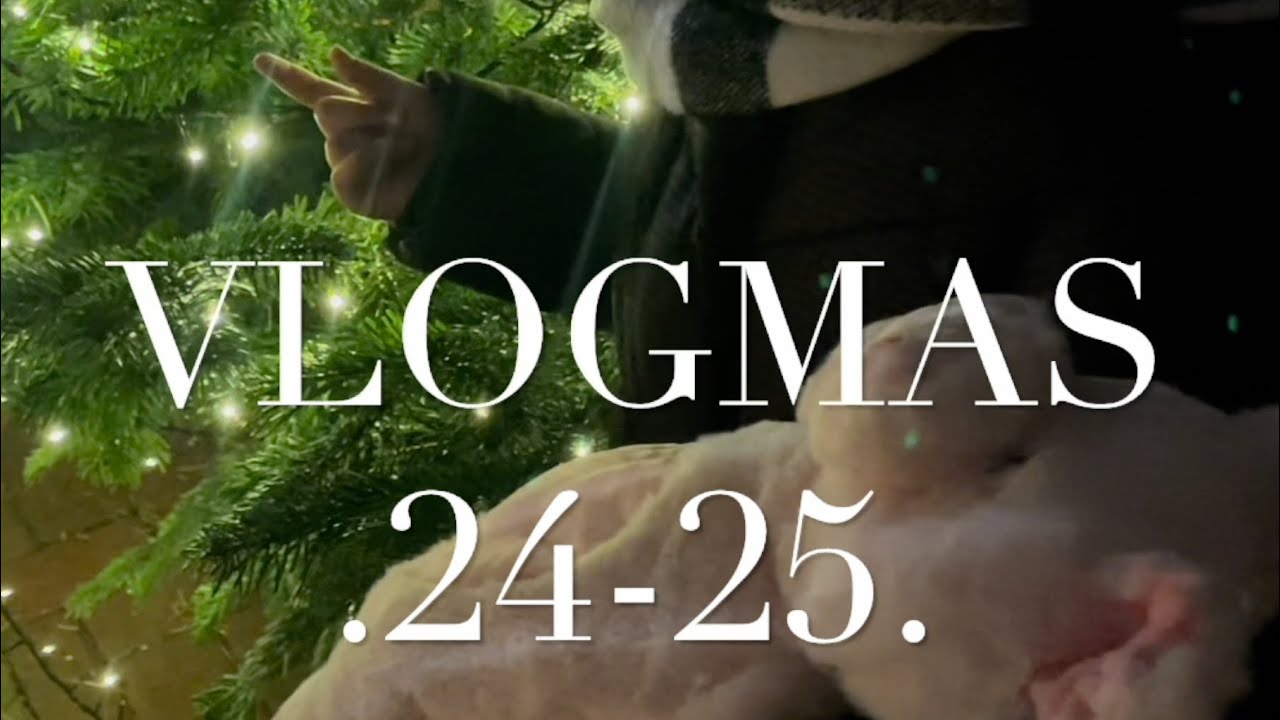 Paskutinis vlogmas! 🤍🎄