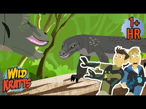 Creature Combat Komodo Dragon Showdown Wild Kratts