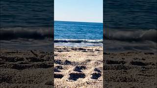 Calafia.Vibes #oceanwaves #oceansounds #calmingwaves #asmrsounds #relaxingsounds #beach #asmrvideo