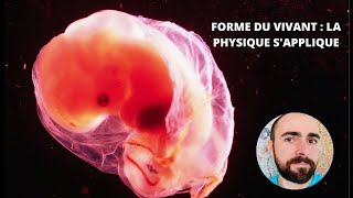 Formes du vivant : la physique s'applique  LES CELLULES, BRIQUES DU VIVANT