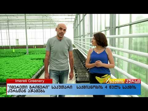 იმერეთი გრინერი საკუთარი საქმიანობის 4 წელს საქმის კურსთან აჯამებს