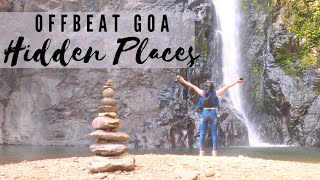 Hidden Waterfall in Goa | Mainapi savri waterfall  | Goa latest Vlog | Netravali wildlife sanctuary