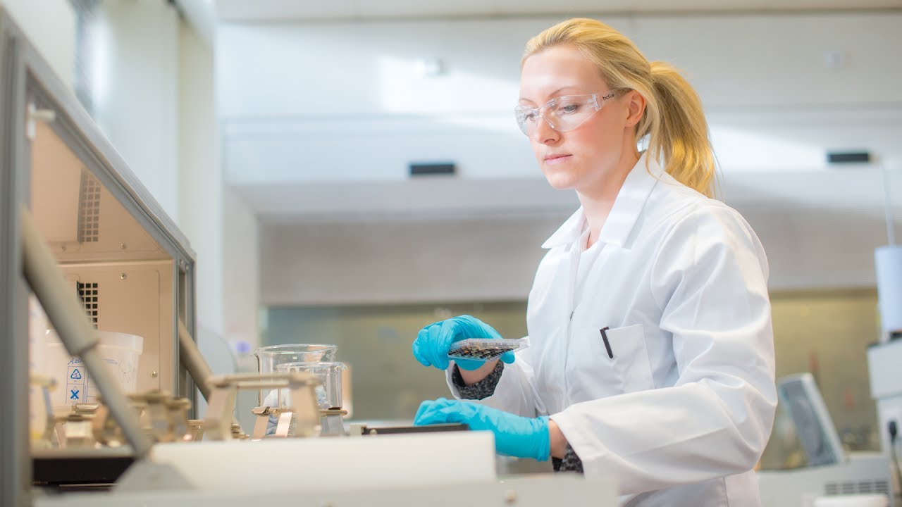 Securing the low carbon bio-economy of the future