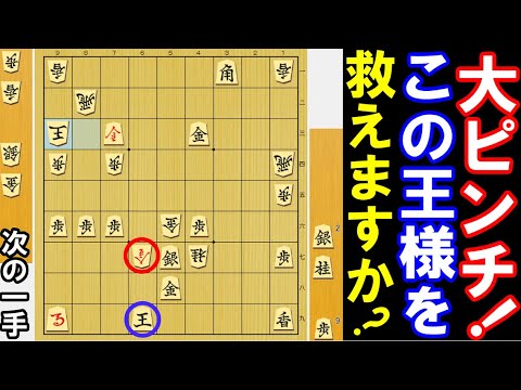 First Dan in 10 Seconds] A big pinch! Can you save this king