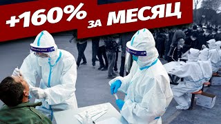Число случаев заражения COVID-19 в Китае в мае выросло на 160%
