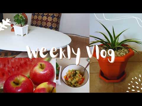 ღ Weekly Vlog ღ | Living Alone Diaries | Days In My Life