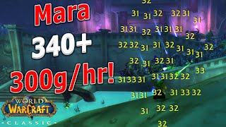 WoW Classic - Mara 1 Pull 340 ! 300g/hr - 120k xp/hr! Powerlevel / Gold Farm