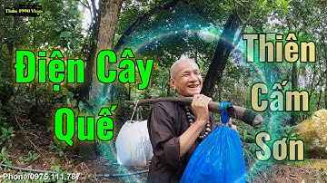 Xuất Hiện Cao Nhân "Điện Cây Quế" Trên Núi Cấm Và Nhiều Điều Bí Ẩn Đằng Sau Tập 1 || Thảo 1990 Vlogs