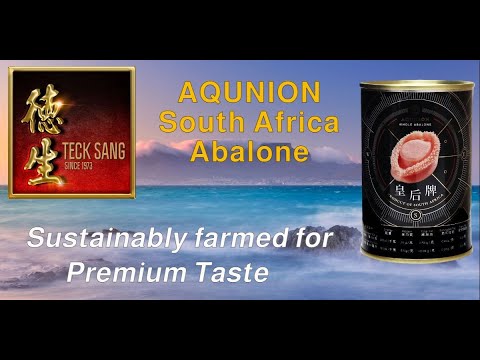 Best South Africa Abalone for CNY Reunion Dinner 2023 and Yu Sheng