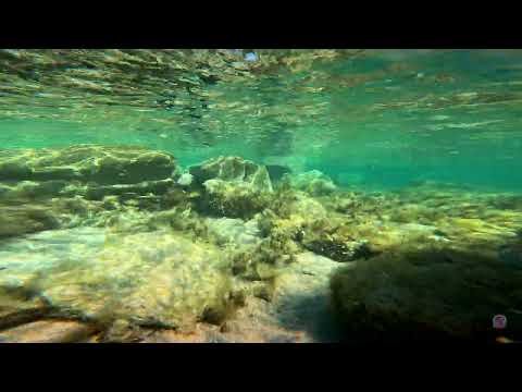 Plongée snorkeling dans