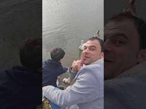 وليد ومحمد واسمى مقلب البطة 🐤