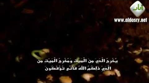 ماتيسر من سورة الانعام / بصوت الشيخ ياسر الدوسري