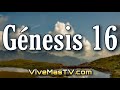 🔥 Génesis16 | Agar e Ismael