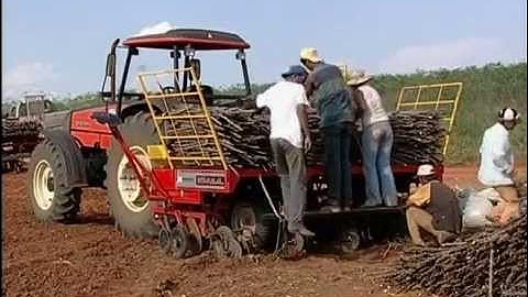 CASSAVA PLANTERS 2,4&6 ROWS WITH BED FORMER-HENNIPMAN