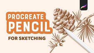 Procreate Pencil Brush for Sketching