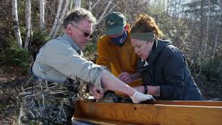 Wild Salmon Watersheds