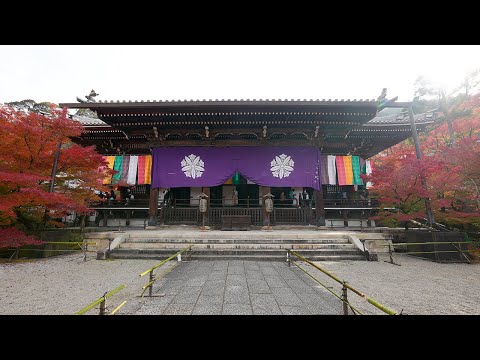 京都 永観堂 紅葉(4K) カエデ・エリシア京都 caede|L’ELISIR KYOTO[Eikando, Kyoto Red Leaves]