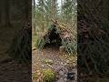Primitive Island Shelter Build 🌴 #survival #camping #bushcraft #outdoors