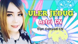 ULER JEDUG | Astri CN | Cipt.Cahyadi CN | Lagu Tarling Indramayu Cirebonan 2024