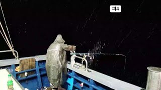 LIVE  실시간 녹동 한치낚시 13회차 어제는 해무, 오늘은 폭우!! ~~ #낚시 #한치낚시