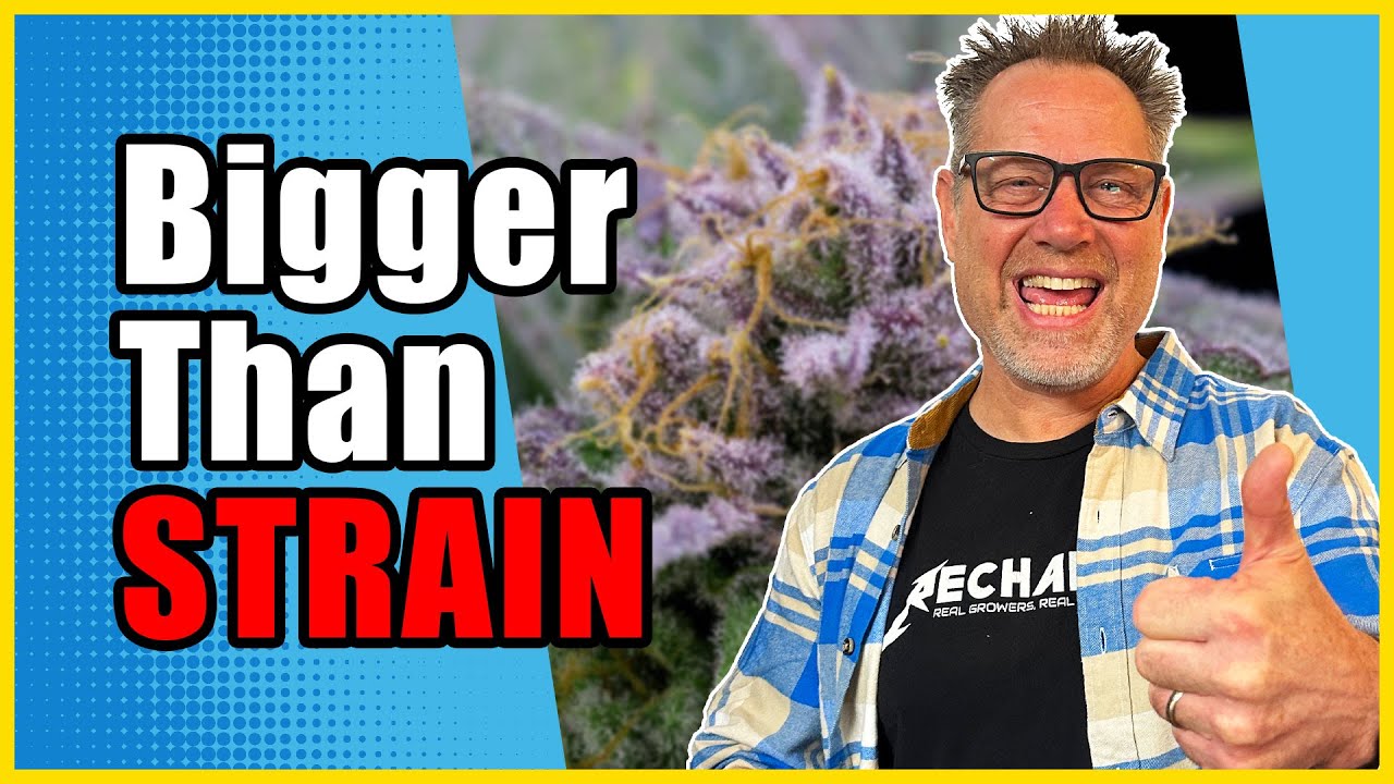 Do THIS to Unlock the Full Genetic Potential of Your Cannabis Strains